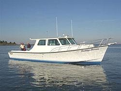Daddy's Dream — custom Evans cruiser on calm water